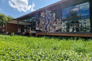 Tarnogórskie Centrum Kultury stworzy nową mozaikę. Jak wyglądają te z PRL-u, które już tu są? Zobacz zdjęcia