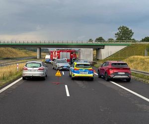 Nie żyje 13-letnia wolontariuszka WOŚP. Zmarła po tragicznym wypadku na drodze S7