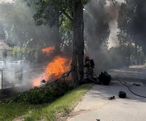 Auto uderzyło w drzewo i stanęło w płomieniach. Spłonęły trzy osoby!