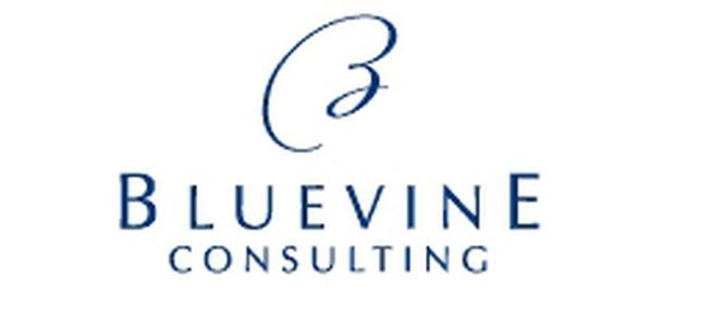 logo Bluevine Consulting