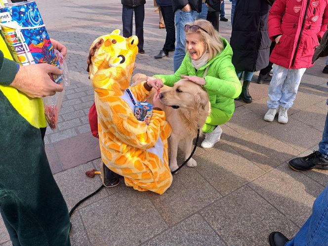 33. Finał WOŚP z grupą krakowskich Golden Retrieverów