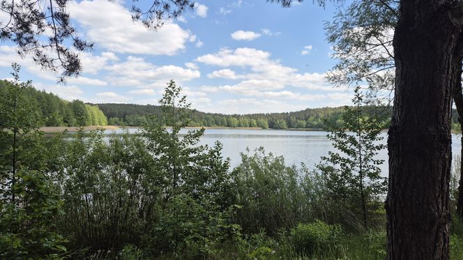 To jezioro w Olsztynie ma niezwykle czystą wodę. Jest kilka dzikich plaż, które świecą pustkami