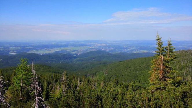 Najlepszy szlak w Karkonoszach dla rodzin z dziećmi. Malowniczy wąwóz, wodospad i słynna hala 
