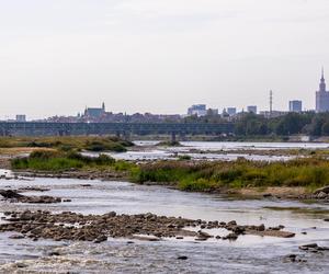 Wisła wysycha - rekordowo nisko poziom wody. Zobacz zdjęcia