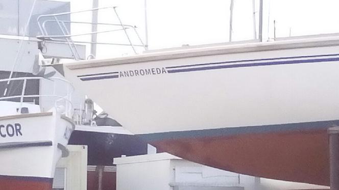 Tak nazywają się jachty i łodzie w gdyńskiej marinie