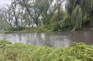 Brynica woj. śląskie - Sosnowiec, Stawiki