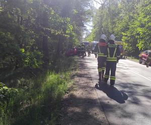 Hołubla: Auto uderzyło w drzewo. Wśród poszkodowanych dzieci!