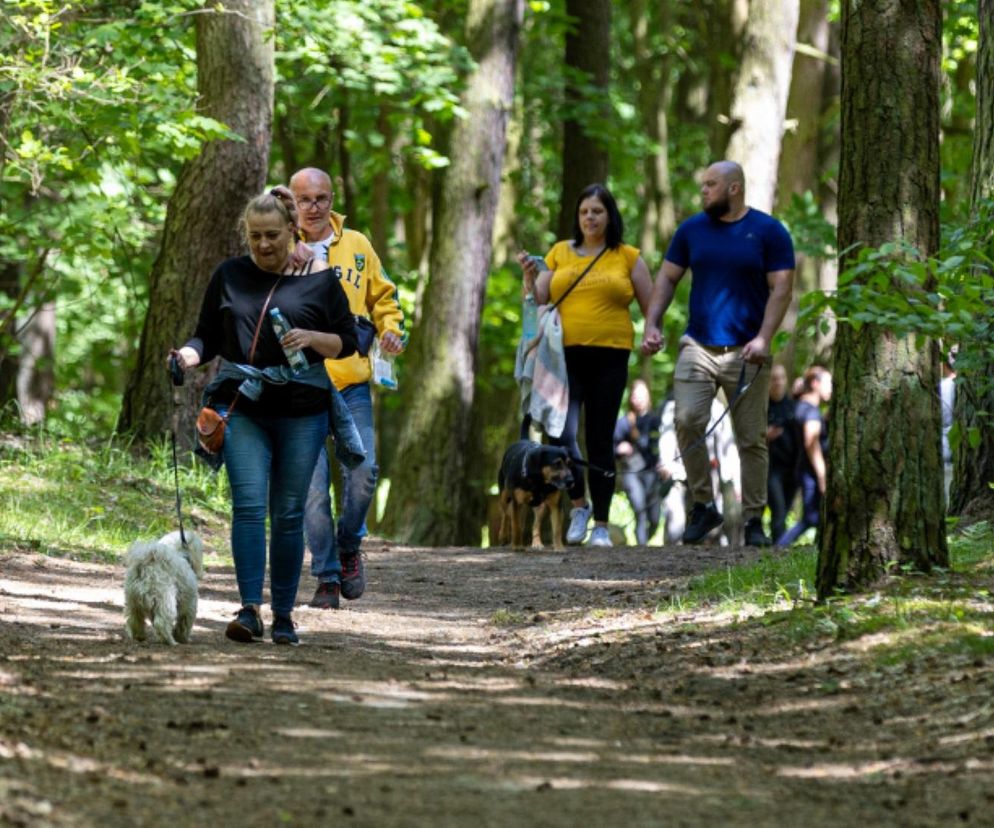 Wspólny spacer z pieskami w Grudziądzu. Przed nami II edycja Spaceru Śladami Kliforda 