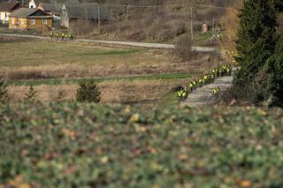Poszukiwania elementów obiektu latającego