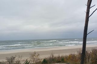 Polskie wybrzeże poza sezonem. Te plaże warto odwiedzić jesienią i zimą 