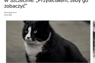 Kot Gacek ze Szczecina