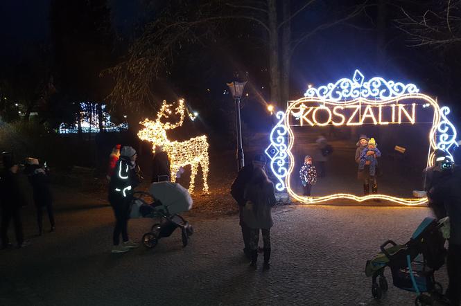 Mieszkańcy Koszalina chętnie robili sobie zdjęcia z nowymi dekoracjami parku.