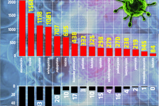 Koronawirus 21.04.2020 r, godz. 17.30. Zobacz aktualne wykresy i dane!