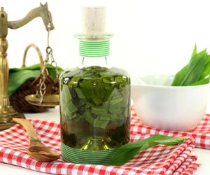 Nalewka z czosnku niedźwiedziego – zielona moc prosto z natury