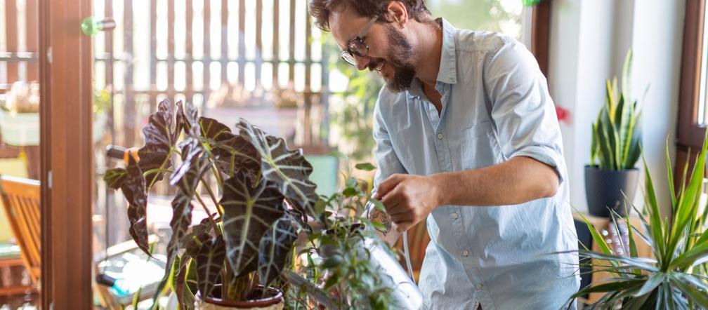 Podlewanie roślin doniczkowych