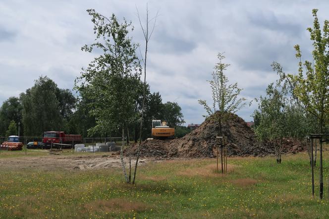 Park Jaworek w Tychach zamienił się w wielki plac budowy [ZDJĘCIA]