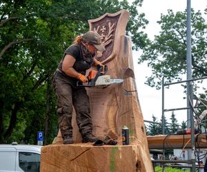 Wyrzeźbili tron z pnia znanego hrubieszowskiego dębu