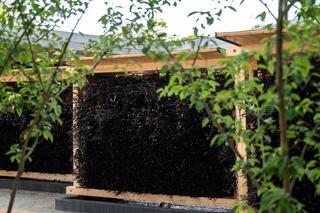 Tężnie solankowe w centrum Poznania