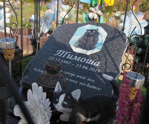 Cmentarz dla zwierząt w Koniku Nowym. „Moje serce jest Twoim domem, będziesz w nim żył dopóki będzie biło”