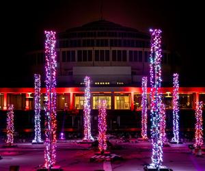 Pergolę warto odwiedzić również zimą! Zobacz pokazy świątecznych iluminacji [ZDJĘCIA]