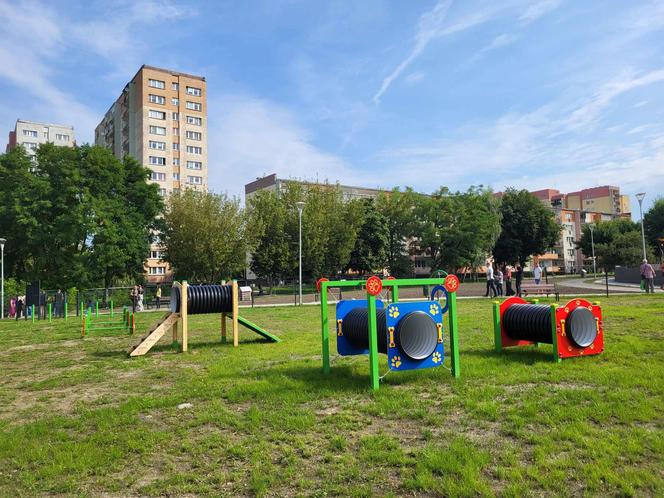 "Psie Pole" zmieniło się w osiedlowy park