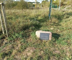 Gaj Matek i Ojców w Gdańsku zaniedbany. Miał być symboliczny park, są uschnięte drzewa i wysoka trawa