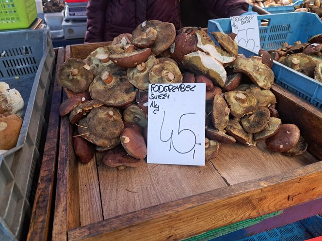 Ceny grzybów na Nowym i Starym Kleparzu w Krakowie