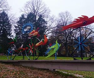 Ogniste Ptaki w Parku Kasprowicza w Szczecinie