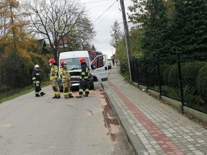 Mokra Wieś. Krowa sprawczynią stłuczki! Właścicielka zwierzęcia ukarana mandatem