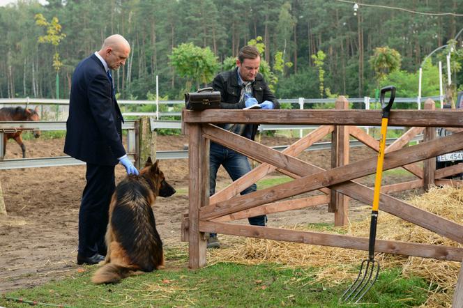 Komisarz Alex 6 sezon odc. 77 - opis, streszczenie: Koń wart miliony