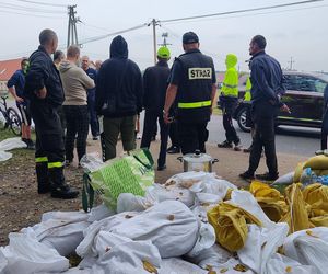 Krosno Odrzańskie i fala powodziowa