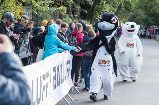 Wild Run 2019. Znamy zwycięzców charytatywnego biegu we wrocławskim zoo