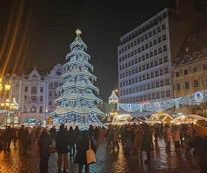 Ale blask! Choinka we Wrocławiu już świeci! Świątecznie rozświetliła cały Rynek [ZDJĘCIA]