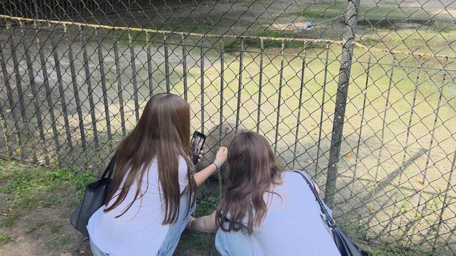 Zaglądamy do mieszkańców bydgoskiego ZOO. Kto mieszka w sercu Myślęcinka?