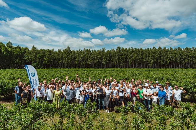 1 lipca - Dzień Polskiej Borówki - Sezon otwarty!