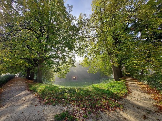 Zamojski Park jesienią