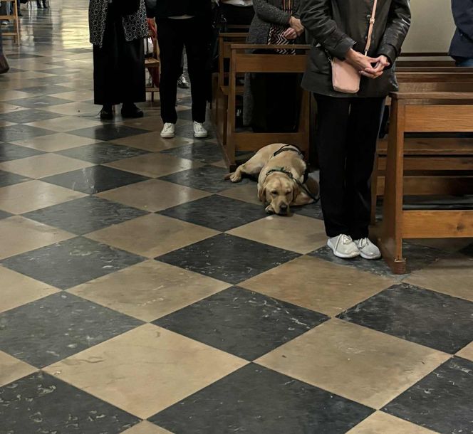 Pogrzeb Kasi Stoparczyk
