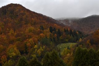 Małopolska wieś, która zachwyciła filmowców. Jesienią można poczuć się jak na planie