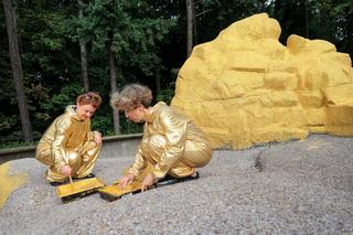 Złoty wybieg dla miśków w warszawskim ZOO! Co to za odmiana?