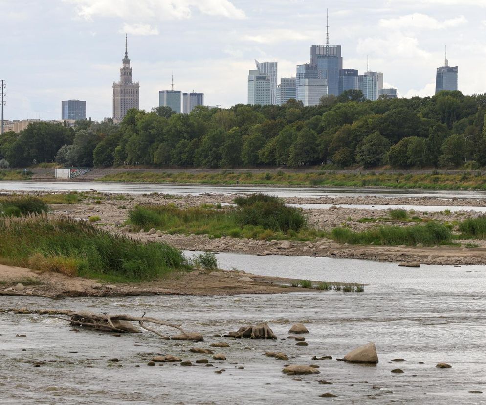 Takiej sytuacji jeszcze nie było. Wisła w Warszawie bije rekord niskiego stanu wody