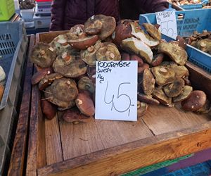 Ceny grzybów na Nowym i Starym Kleparzu w Krakowie