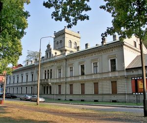Łódź to nie tylko Piotrkowska. Sztuczna inteligencja wybrała najlepsze miejsce w mieście poza centrum
