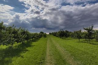 Farma Zdrowia J@busko w Pęczelicach zaprasza