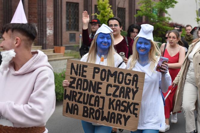 Juwenalia UMK w Toruniu: Piękny, bajkowy Pochód w ramach Piernikaliów. Mamy zdjęcia