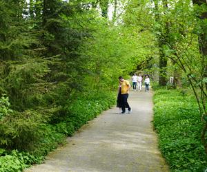 Ogród Botaniczny w Lublinie