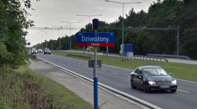 Ul. Dziwożony. Młociny