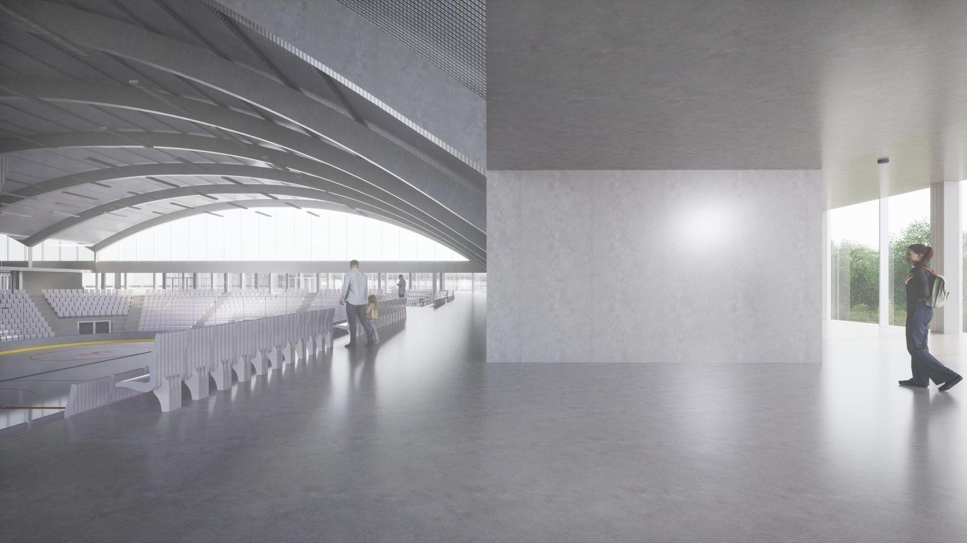 Hala lodowa w Oświęcimiu według Makowscy Mużacz