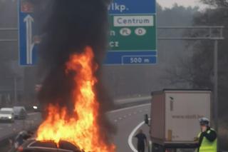 Szczecin Dąbie wypadek 