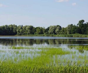 Dolina pełna stawów. Odkryj największy rezerwat tego typu w Polsce 