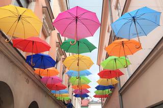 Kolorowe parasole znów wiszą na ulicy Piekarskiej